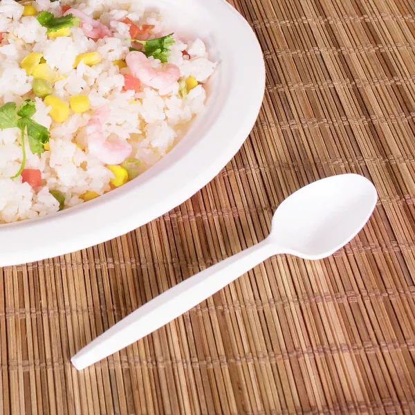 [1,000 ct] PP Plastic Medium-Heavy Weight Tea Spoons Bulk Box, White