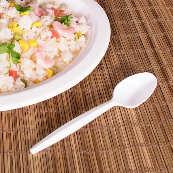 [1,000 ct] PS Plastic Medium-Heavy Weight Tea Spoons Bulk Box, White