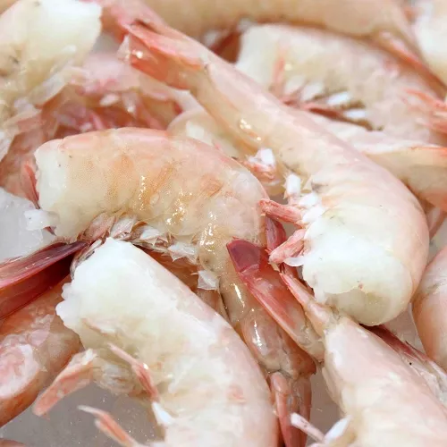 10-15ct-shell-on-florida-pink-shrimp-dixon-fisheries 10-15ct Shell on Florida Pink Shrimp - Dixon Fisheries