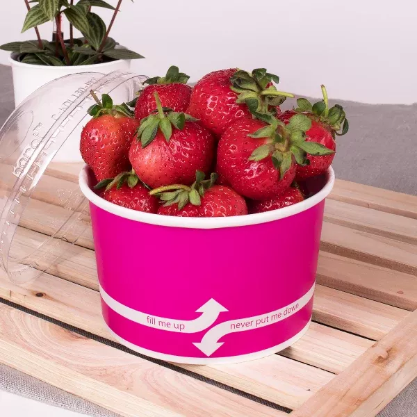 [600 ct] 20 oz Paper Food Containers