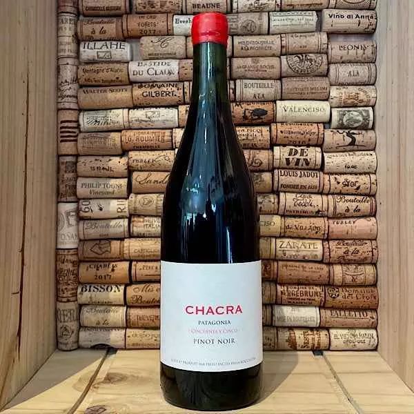 Bodega Chacra 'Cincuenta Y Cinco' Patagonia Pinot Noir 2022