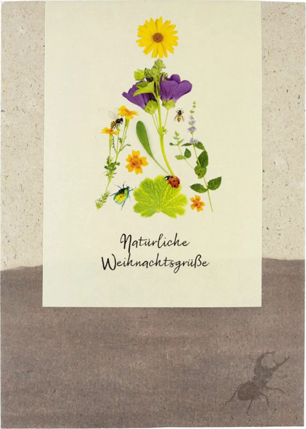 christmas-greetings-from-nature-seed-mix-flowers-herbs-1-pack "Christmas Greetings from Nature" Seed Mix for Flowers and Herbs 1 pack