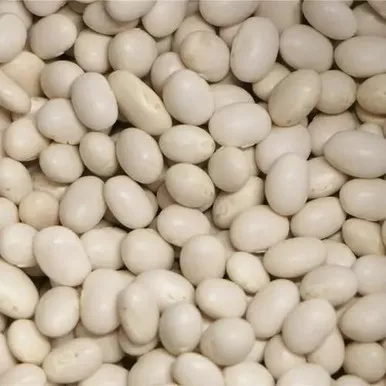 organic-navy-beans-bulk-size-25lbs-11-34-kgs Organic Navy Beans Bulk size 25lbs/11.34 kgs