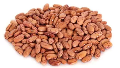 organic-pinto-beans-bulk-size-25lbs-11-34-kgs Organic Pinto Beans Bulk size 25lbs/11.34 kgs